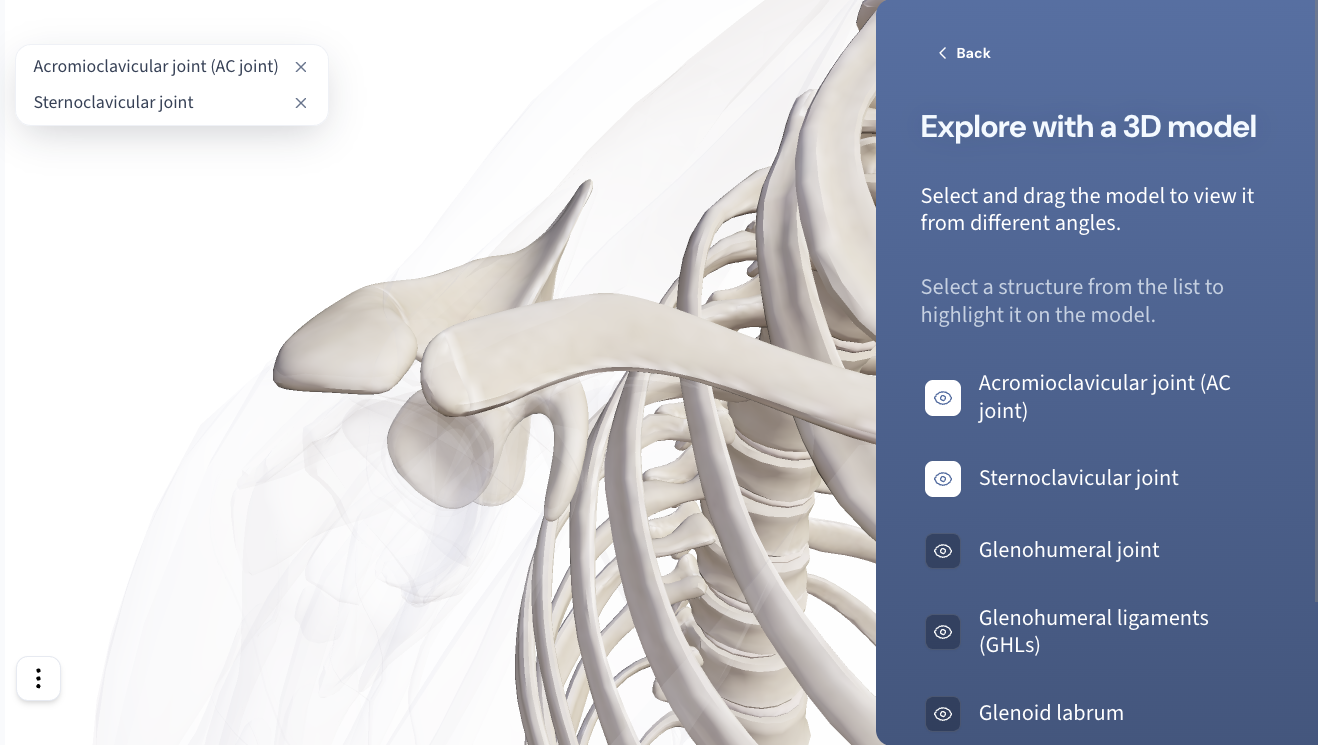 Veridian Orthopedics preview